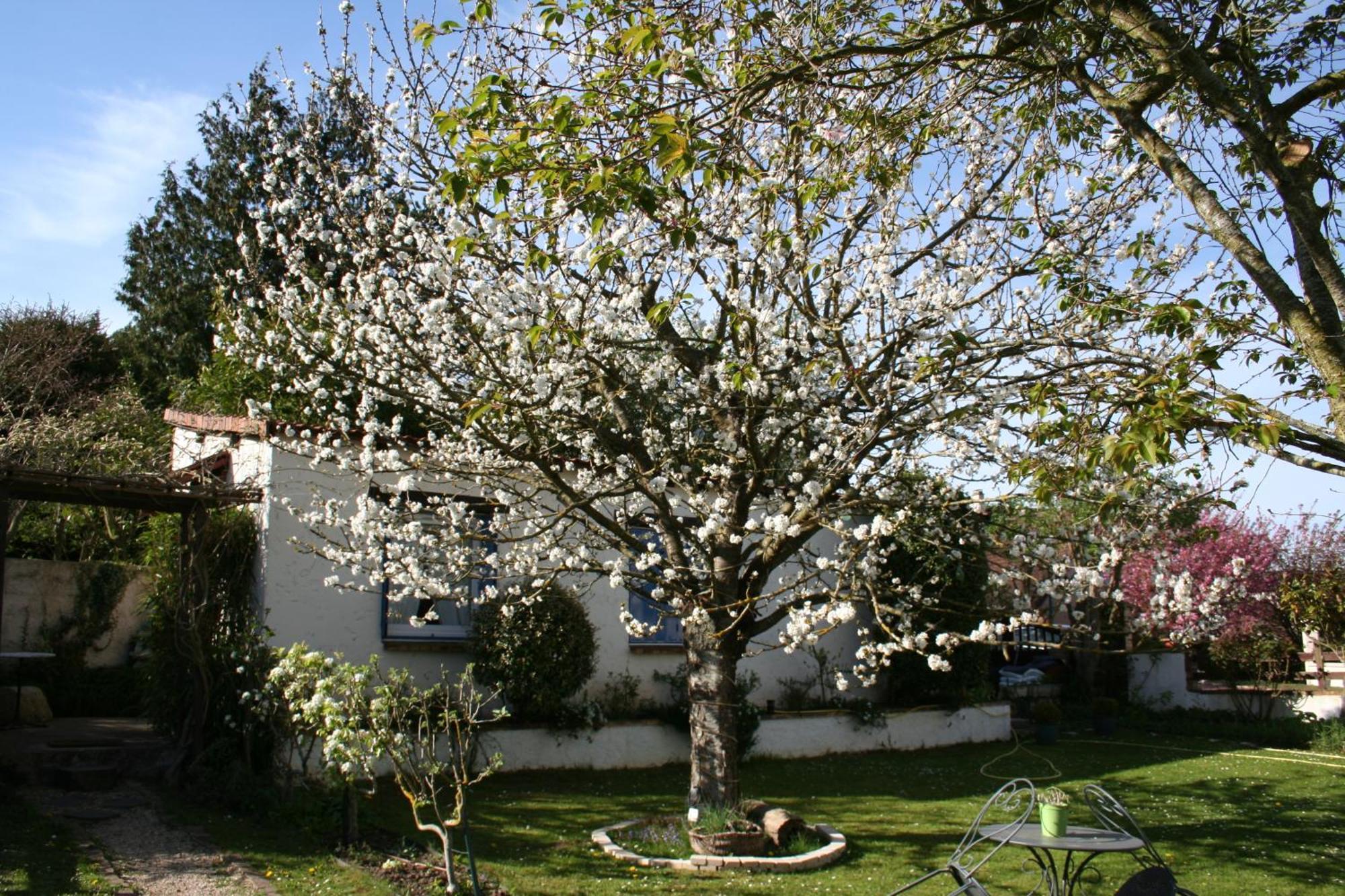 Le Cerisier Bed & Breakfast Mareil-Marly Exterior photo